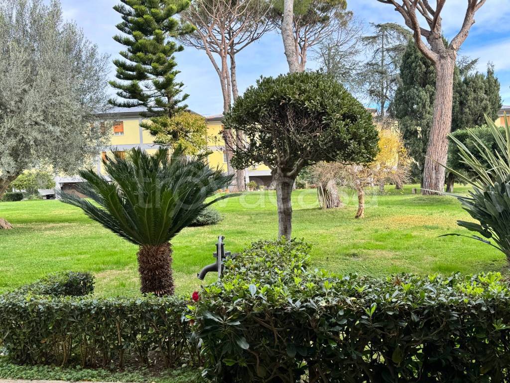 immagine annuncio 12 di 14
