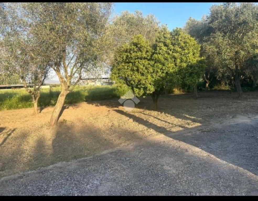 immagine annuncio 10 di 14