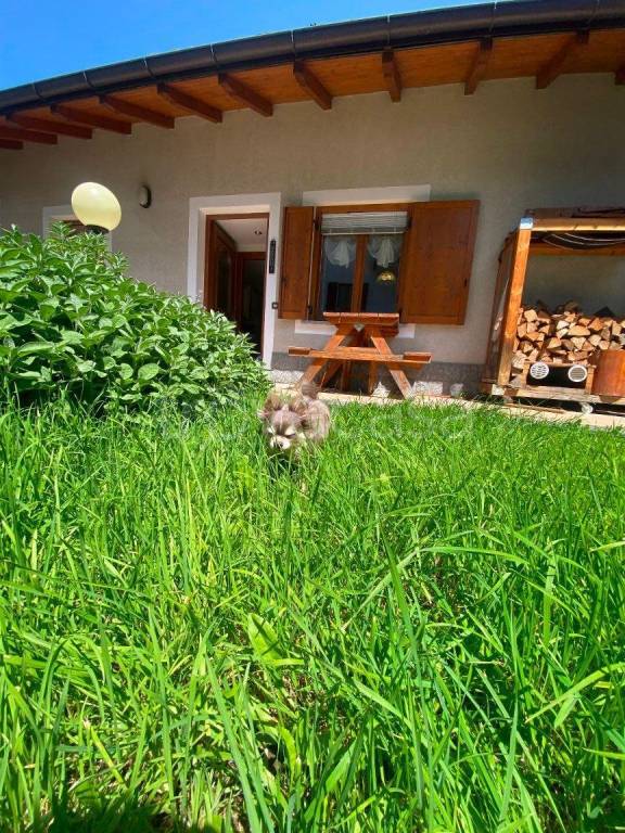 immagine annuncio 4 di 15