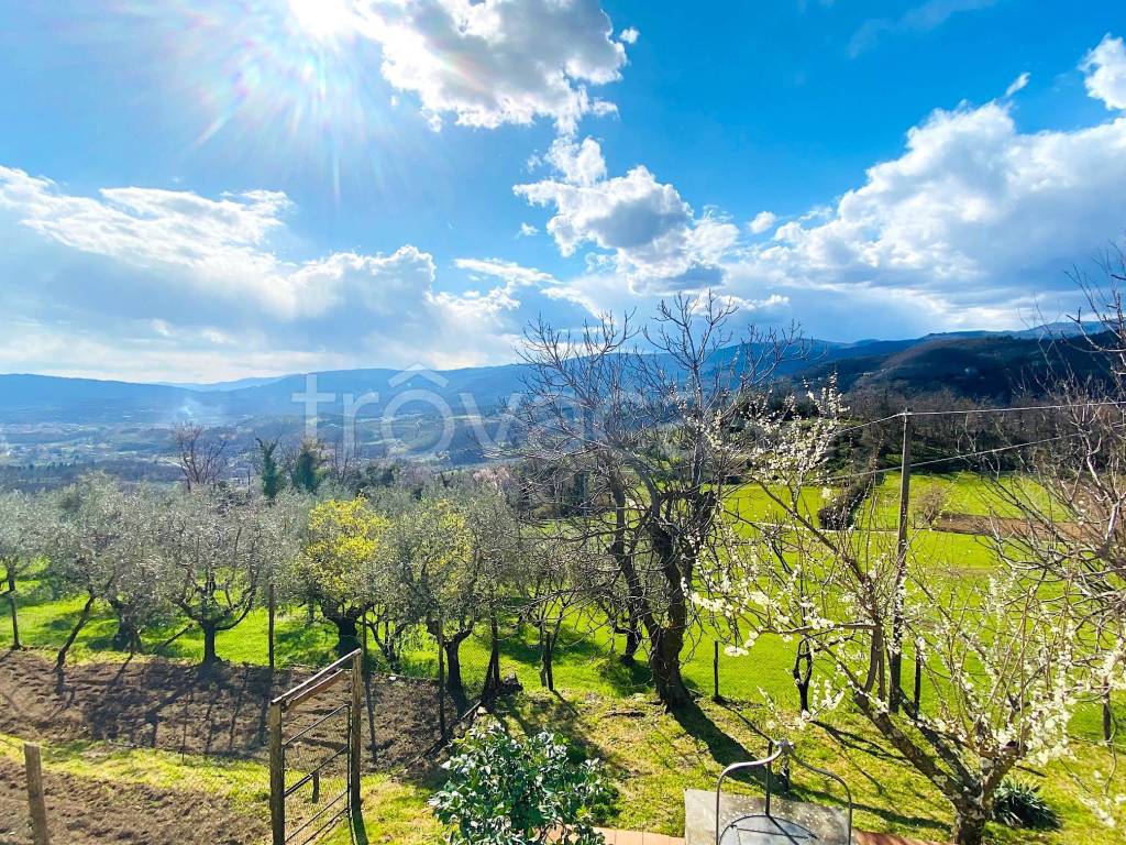 immagine annuncio 2 di 8