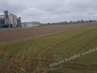 Terreno agricolo all'asta ad arquà polesine via valmolin superiore