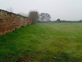 Terreno agricolo in vendita a borgo san siro via torrazza s.n.c.