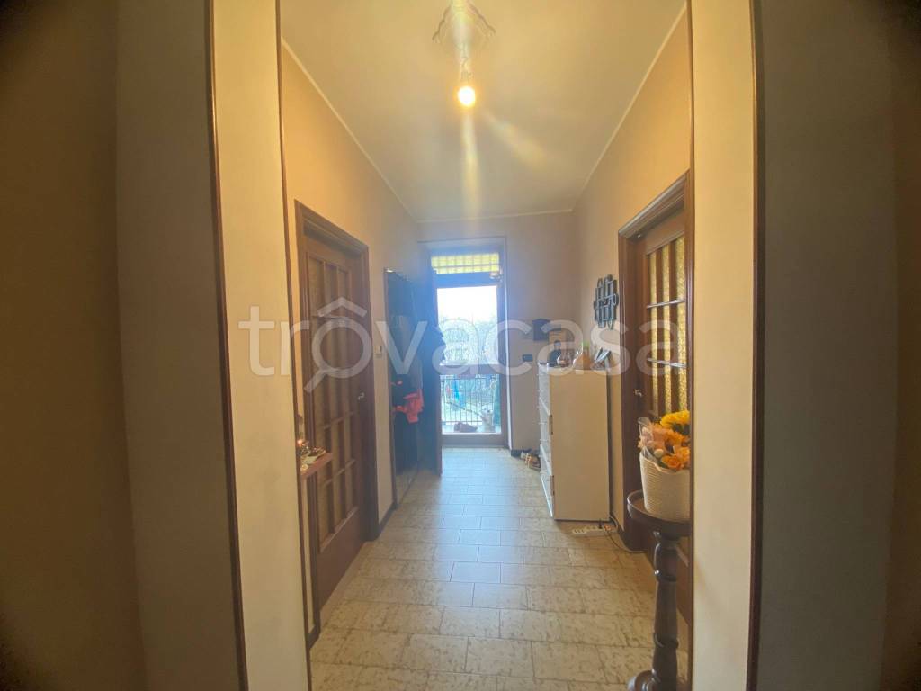 immagine annuncio 7 di 14