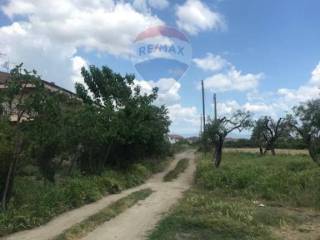 Terreno agricolo in vendita a corigliano-rossano c/da losina