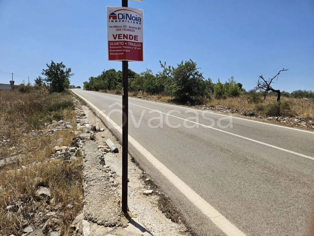 immagine annuncio 8 di 13