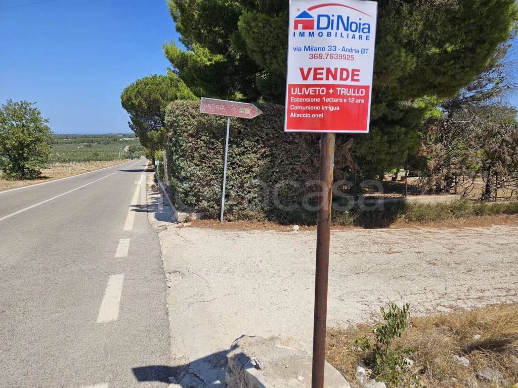 immagine annuncio 10 di 13