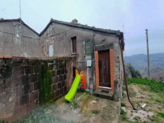 Azienda agricola all'asta a san venanzo vocabolo la recchia