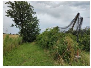 Terreno agricolo all'asta a copparo via marchesa