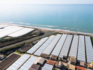 Terreno agricolo in vendita a gela contrada pezza di fico