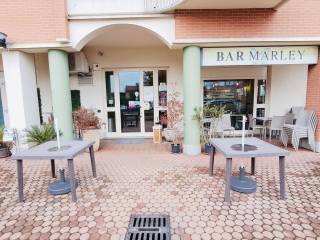 Bar in vendita a gallarate via ottaviano custodi, 11