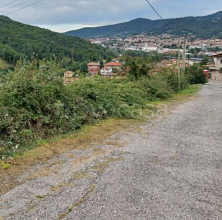 immagine annuncio 2 di 8