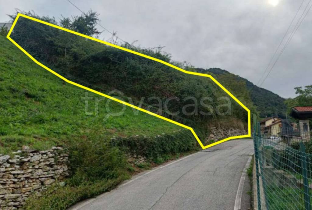 immagine annuncio 5 di 8