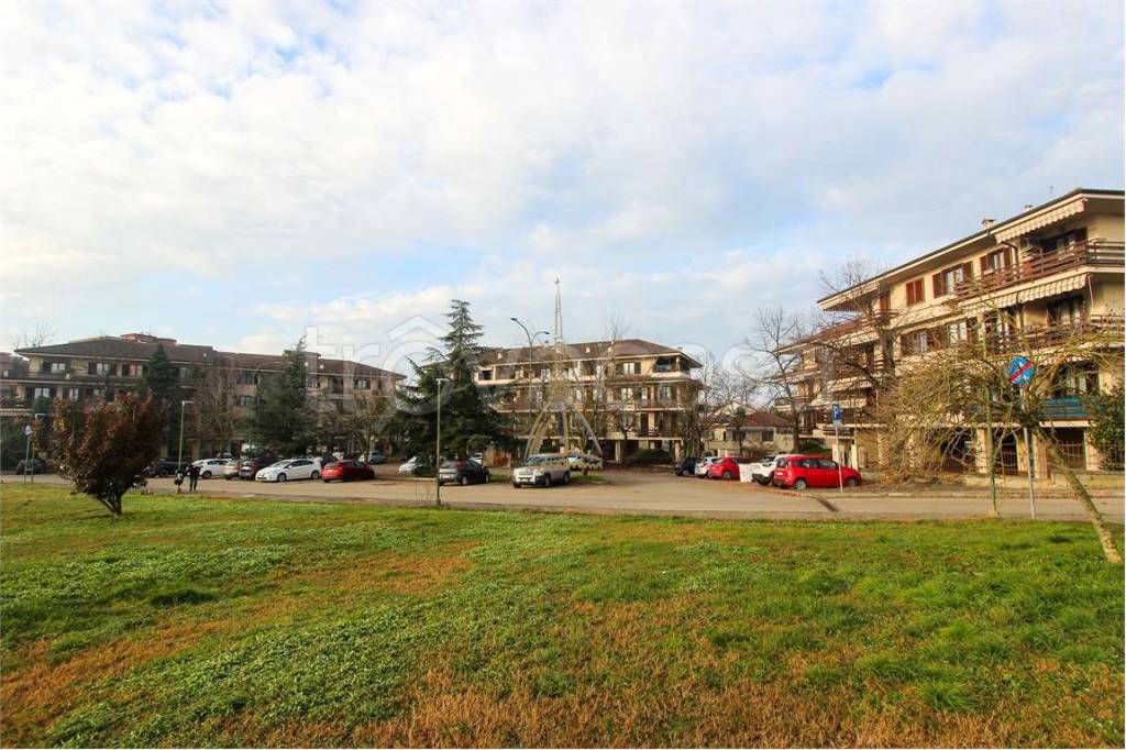 immagine annuncio 12 di 15