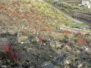 Terreno agricolo all'asta a formia via sant'antonio caravalle