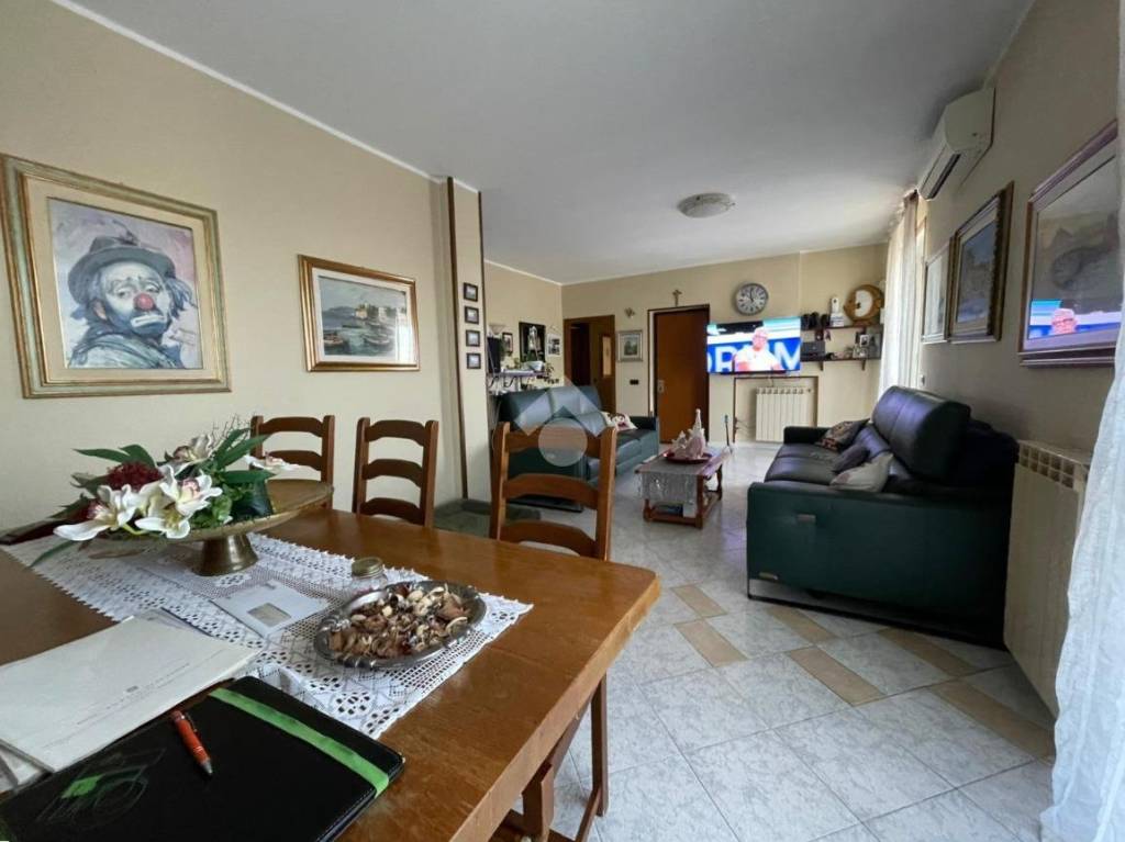 immagine annuncio 2 di 14