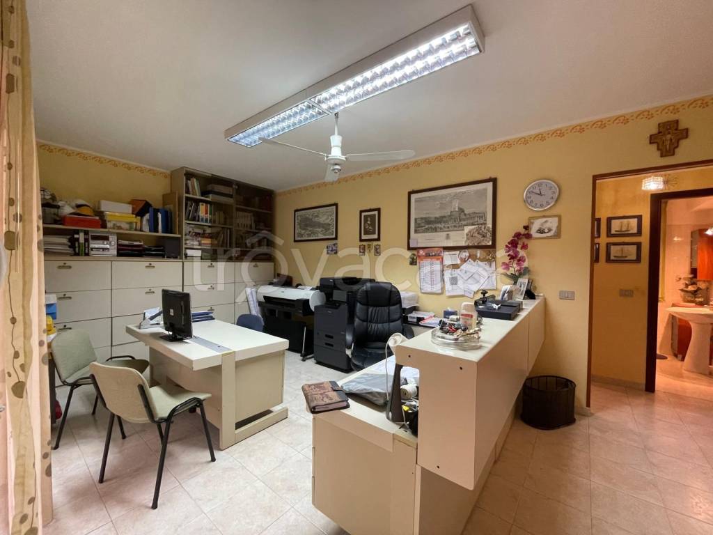 immagine annuncio 10 di 12