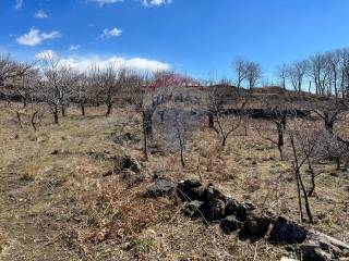 Terreno agricolo in vendita a biancavilla c/da piano mirio (strada comunale-ex provinciale nicolosi-maletto), snc