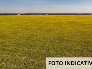 Terreno agricolo all'asta a sorgà via della giara