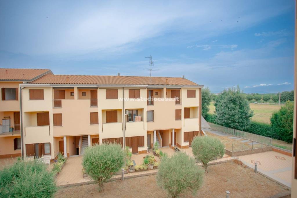 immagine annuncio 3 di 13