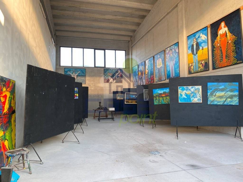 immagine annuncio 8 di 15