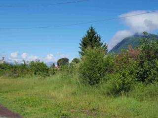 Terreno edificabile all'asta a brenta via molino della resiga