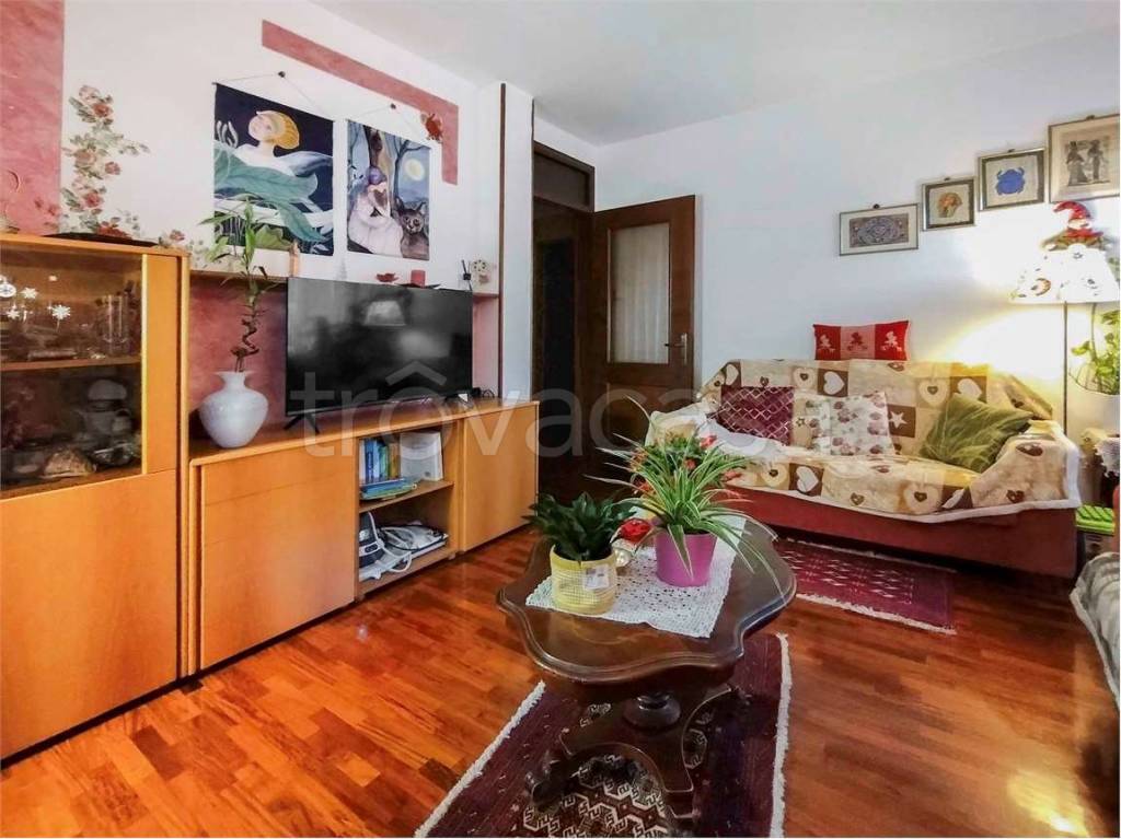 immagine annuncio 1 di 14