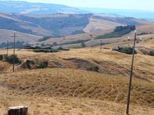 Terreno agricolo all'asta a radicofani podere canneta, radicofani, si,