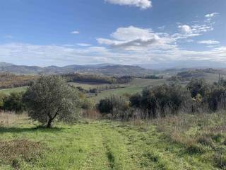 Terreno agricolo in vendita a camerino 