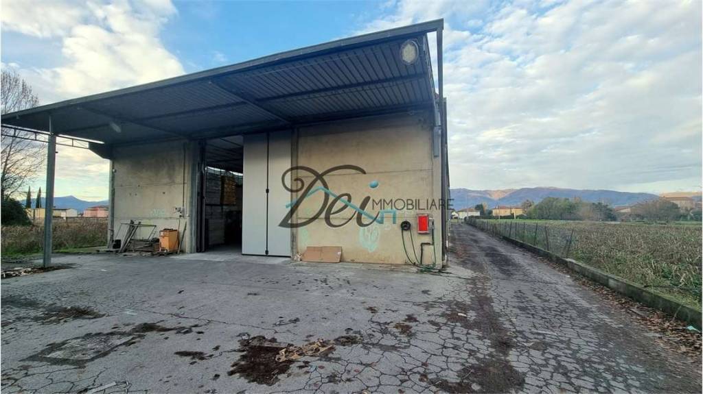 immagine annuncio 1 di 2