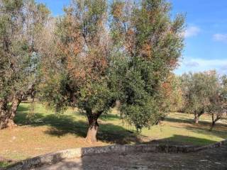 Terreno residenziale in vendita a sava corso italia, 1