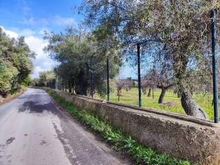 Terreno agricolo in vendita ad avola contrada fiumarella s.n.c.