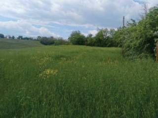 Terreno agricolo all'asta a castelvetro di modena via giuseppe garibaldi