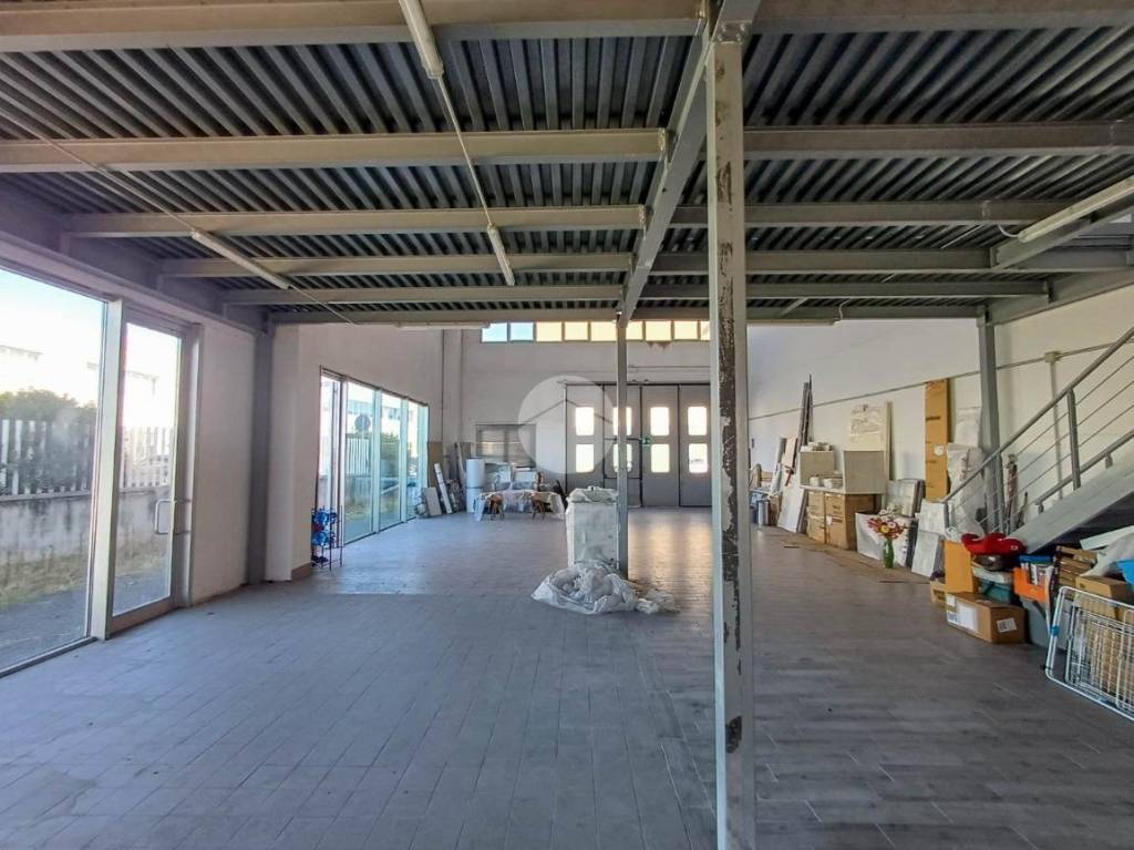 immagine annuncio 4 di 15
