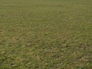 Terreno agricolo all'asta a latina strada santa fecitola