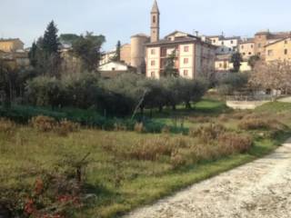 Terreno residenziale all'asta a castelleone di suasa via aldo moro