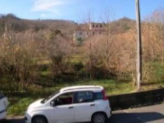 Terreno agricolo all'asta a leivi via selaschi