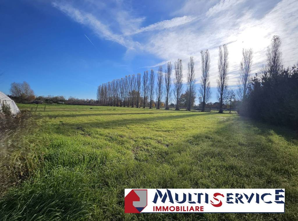 immagine annuncio 1 di 4