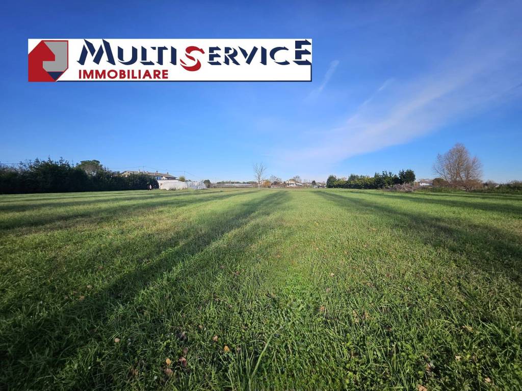 immagine annuncio 2 di 4