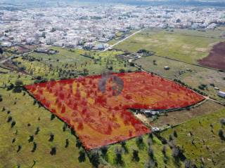 Terreno agricolo in vendita a presicce-acquarica via i maggio, s.n.c.