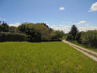 Terreno agricolo in vendita a buja via urbignacco s.n.c.