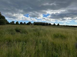 Terreno agricolo in affitto a siracusa traversa mottava