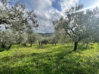 Terreno agricolo in vendita a montopoli di sabina via granica sud