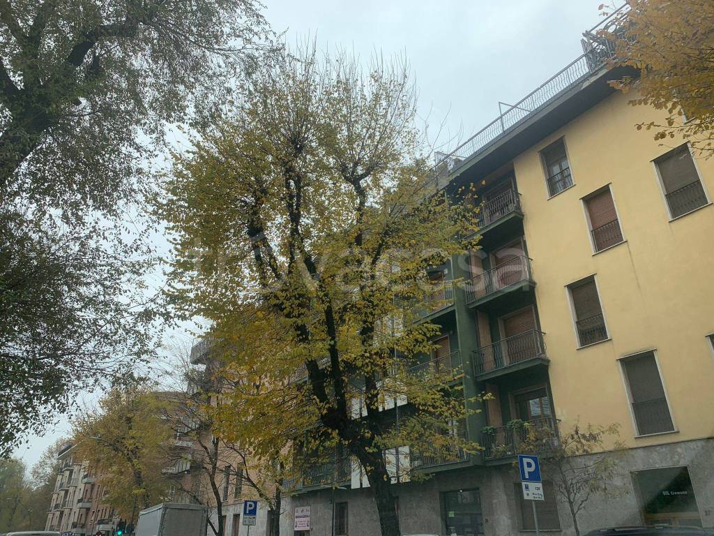 immagine annuncio 11 di 13