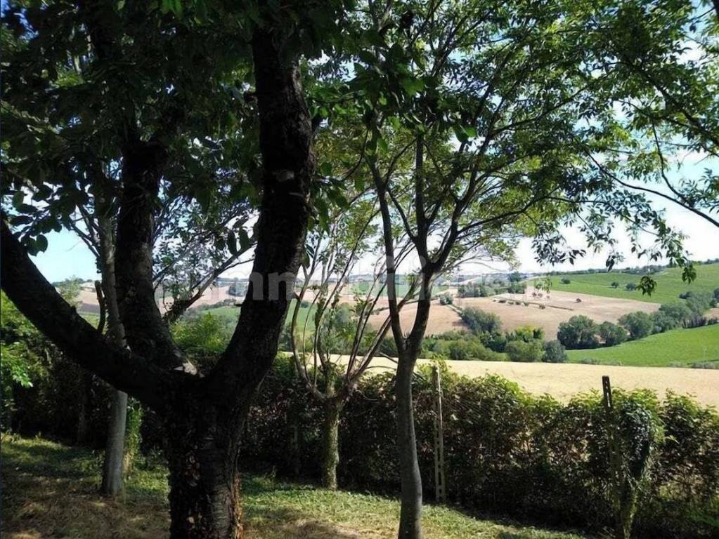 immagine annuncio 4 di 14