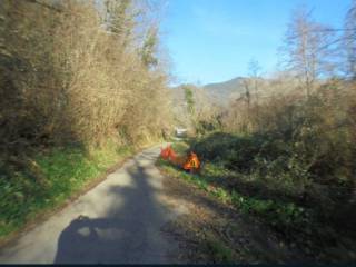 Terreno agricolo all'asta a san colombano certenoli via scaruglia