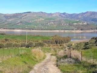 Terreno agricolo all'asta a regalbuto contrada pettoruta