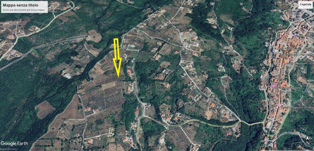 immagine annuncio 2 di 3
