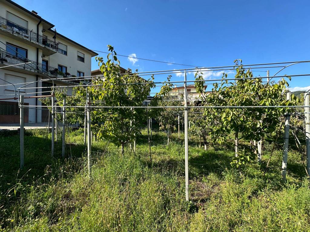 immagine annuncio 7 di 13