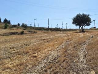 Terreno agricolo all'asta a regalbuto contrada pietra santa