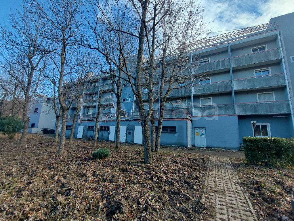 immagine annuncio 6 di 13